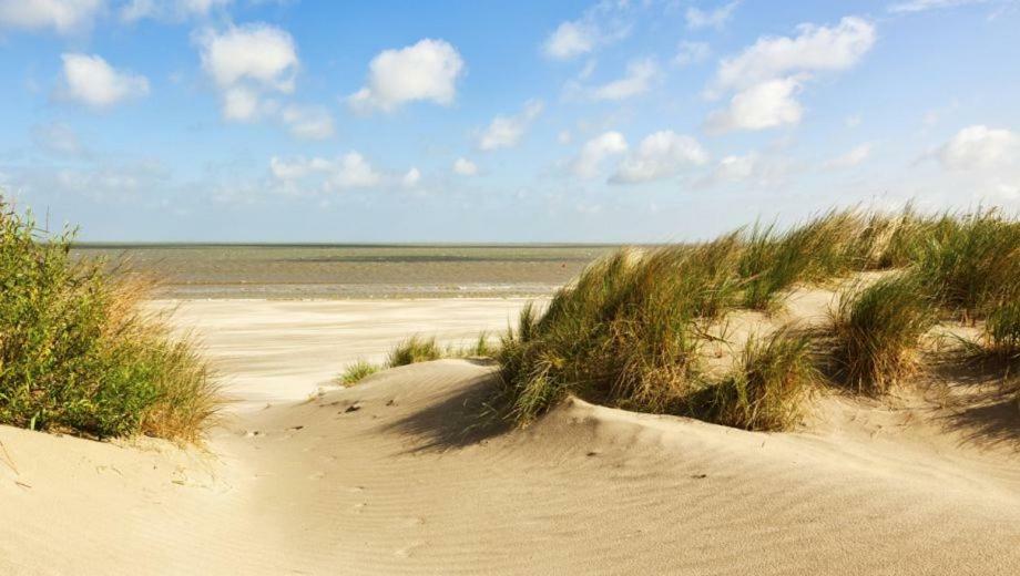 Studio Hof Ter Zee * Oostende